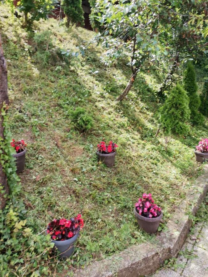 Fiar Apartman Szarajevó Kültér fotó